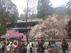 -潭柘寺景区