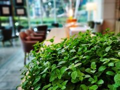 -深圳中洲万豪酒店·咖啡廊