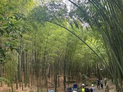 -会稽山峡洞漂流-上青古道