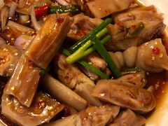 -老号尤兔头(幸福店)