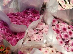 -循礼门鲜花花市(武汉循礼门店)