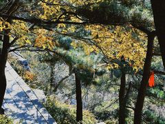 -泰山风景名胜区