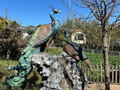 -丽泽山庄·生态怀柔菜·虹鳟鱼(红螺寺店)