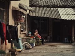 -正荣酒家葱葱鲫鱼