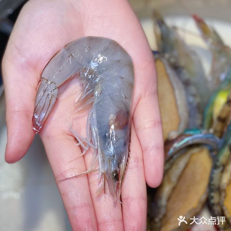 没想到，猪肚鸡还能跟冬瓜配