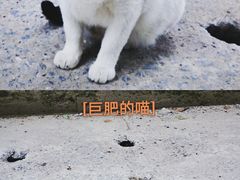 -东信·和创园