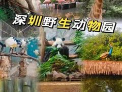 -深圳野生动物园