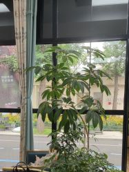 -爱儿美儿童摄影亲子馆(五路居店)