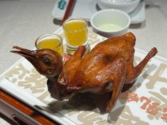 -大鸽饭(动物园店)