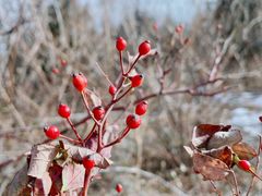 -鬼笑石后山停车场
