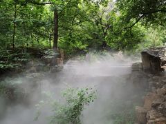 -北京西山国家森林公园