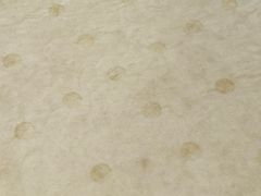 -双井轩(双井店)