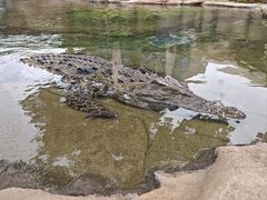 -香港海洋公园