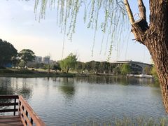 -新江湾城公园