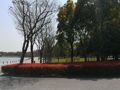 -尚贤河湿地