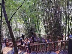 -天门沟九州驿站树上汤泉