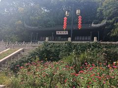 -苏州上方山国家森林公园