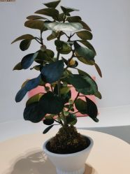 -DX HAIR SALON·发现未知美发沙龙