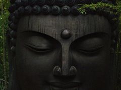 -杭州植物园