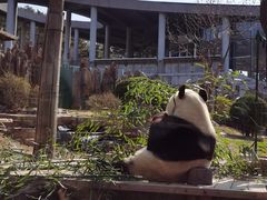 -大连森林动物园