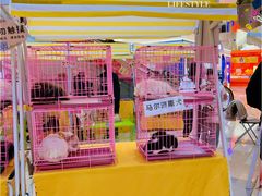 -鹏欣水游城