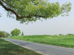 -良渚古城遗址公园