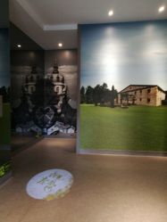 -奈瑞儿美颜塑身SPA