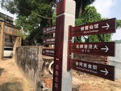 -同心泥烩鸡