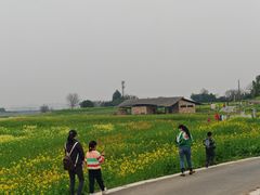 -三圣花乡旅游区