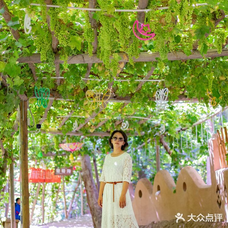吐鲁番葡萄沟，好吃的葡萄在这里。