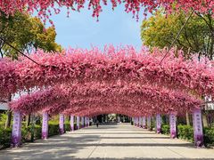-南汇桃花村