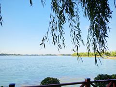 -丁香湖公园