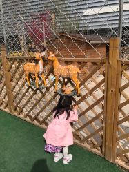 -萌宠亲子动物乐园(槐房万达店)