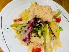 -锦鲤堂日本料理(莱茵之星店)