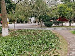 -中山市树木园