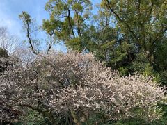 -热田神宫