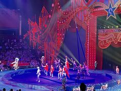 -珠海横琴长隆《卡卡虎奇遇记》