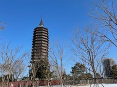 -西海子公园