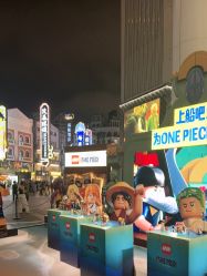 -乐高品牌旗舰店(人民广场店)
