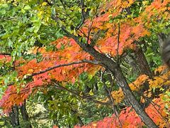 -五女峰国家森林公园