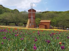 -苏州上方山国家森林公园