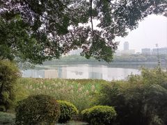 -南宁南湖公园