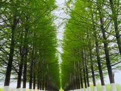 -嘉北郊野公园