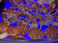 -好日子皇冠假日酒店·君怡咖啡厅(特美思大厦店)