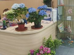 -扬格外语学校(芝罘校区)