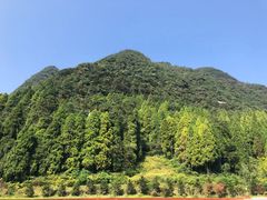 -遵义红军烈士陵园(凤凰山公园)