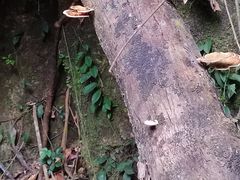 -千泷沟大瀑布旅游区