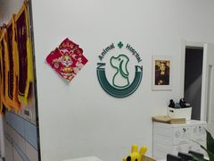 -中农国际动物医院24小时·猫科·骨科·急重症中心