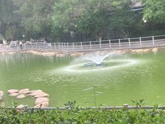 -莲湖公园