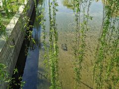 -海棠花溪(元大都城垣遗址公园)